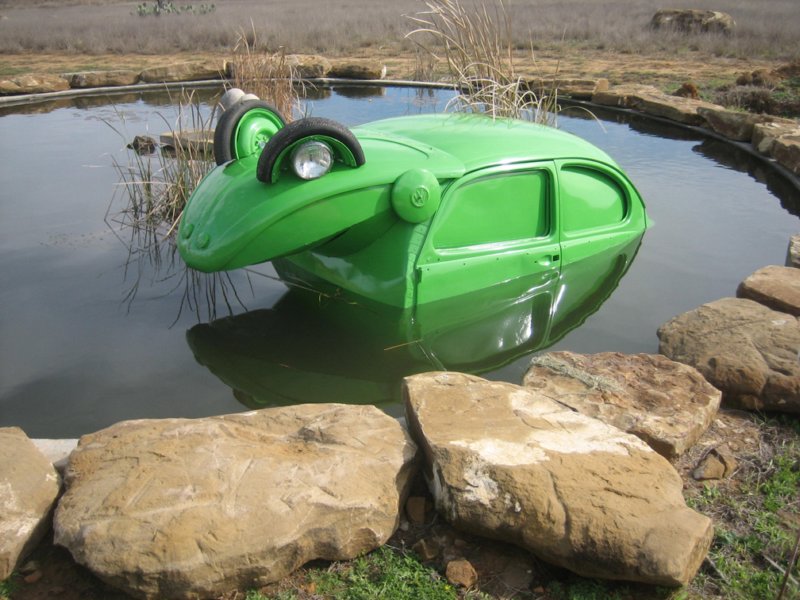 vwfrog.jpg